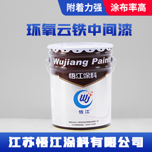 环氧云铁中间漆1.jpg
