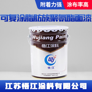 可复涂脂肪族聚氨酯面漆.jpg